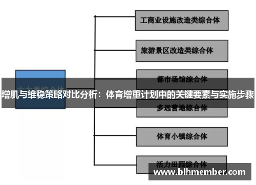 增肌与维稳策略对比分析：体育增重计划中的关键要素与实施步骤