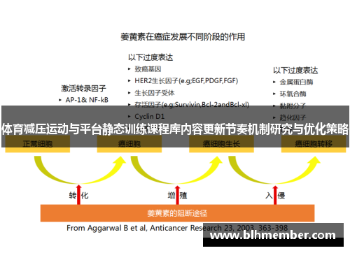 体育减压运动与平台静态训练课程库内容更新节奏机制研究与优化策略